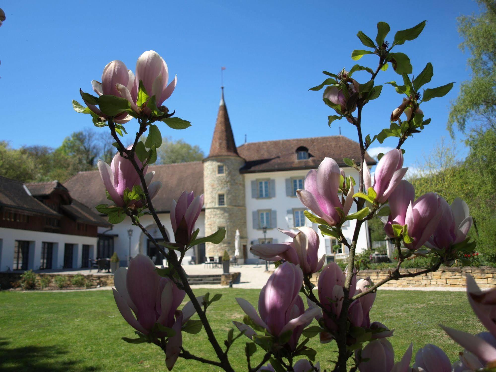 Chateau Salavaux Vully-les-Lacs المظهر الخارجي الصورة